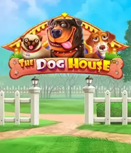 Pragmatic Play's The Dog House adventure, featuring a fun-filled adventure through playful pups. Engage in gameplay elements including multipliers, perfect for delivering exciting wins. Ideal for pet lovers a cheerful atmosphere and the opportunity to win big.